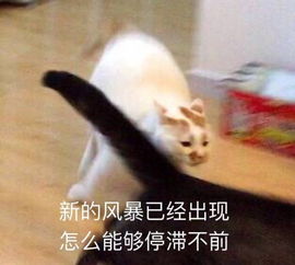  发表情表情包大全微信表情包qq表情包fabiaoqing.com