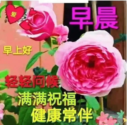5张清晨早安祝福图片大全精选5月最新早上好祝福语简短 5张清晨早安祝福图片大全精选5月最新早上好祝福语简短