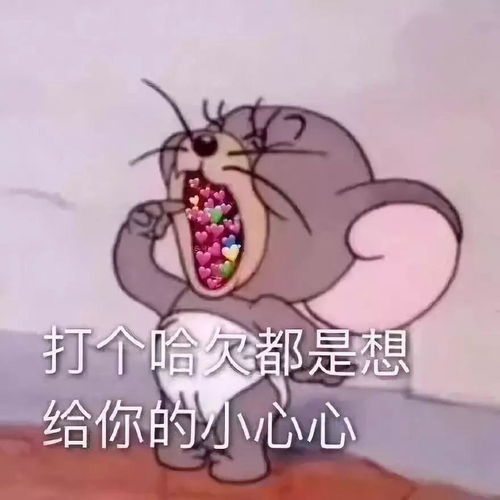  猫和老鼠表情包是要我现在开始酸吗