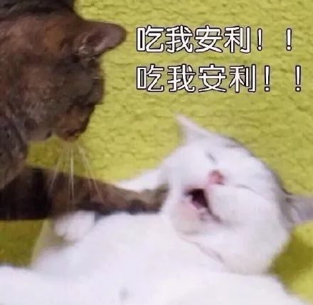  直男式截图让你手足无措新时装截图攻略让你告别尴尬