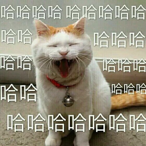 忍不住大笑表情包 忍不住大笑表情包