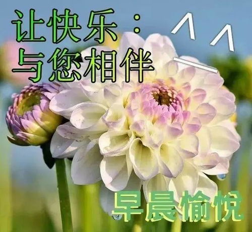  2021早上好问候语表情图片,特别新的早上好问候语暖心句子