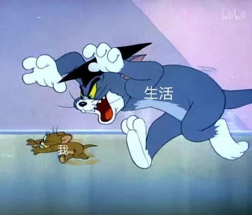  搞怪猫和老鼠表情包第五弹