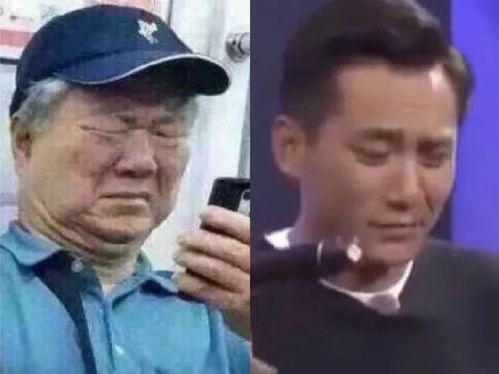 追风少年刘全有表情包刘