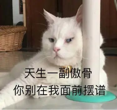  超搞笑表情包不笑你打我记得保存哦