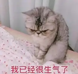  行走的表情喵喵星人表情包,萌爆了