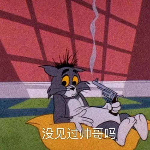  搞怪猫和老鼠表情包第五弹