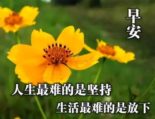 早晨微信问候语表情图
