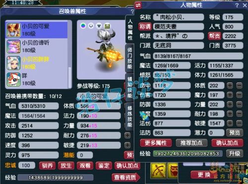  梦幻西游175帮战无底洞,6防御配精进经脉,专克三攻的钢板号