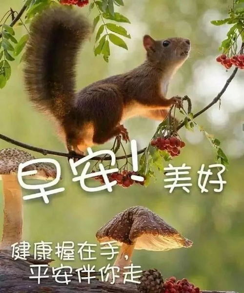  上天给了你许多诱惑,却不让你轻易得到,要想实现,就奋斗,早安