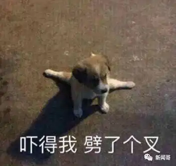 大神花露水沃尼玛666皮炎平这些高仿产品是想把我笑死 大神花露水沃尼玛666皮炎平这些高仿产品是想把我笑死