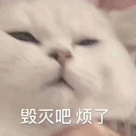  这位网友请把你的表情包交出来