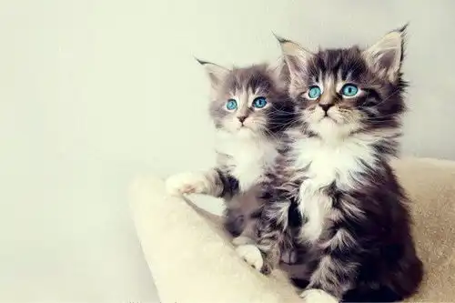 开心一刻笑话高中同学聚会,我带着小女朋友参加,遇到前女友 开心一刻笑话高中同学聚会,我带着小女朋友参加,遇到前女友