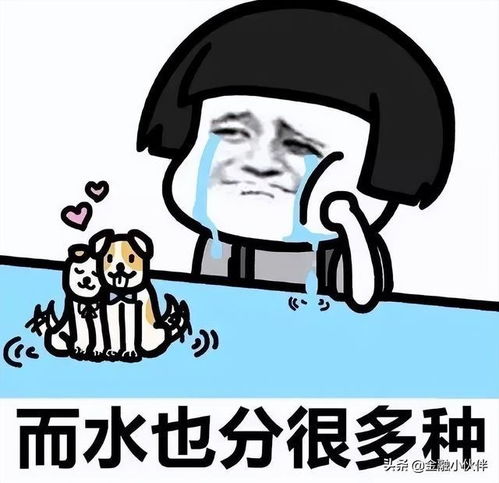  机构为什么越来越多看第一学历了