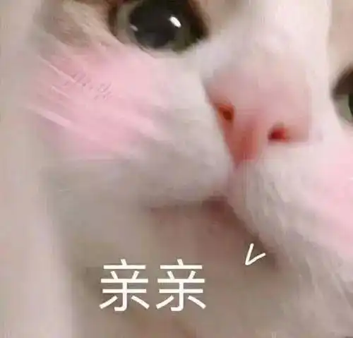 收藏表情包超爱你