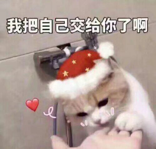  可爱的圣诞节表情包