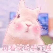  可爱小兔表情包