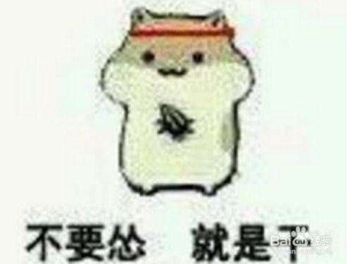  怼和怂的真正意义