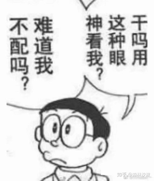 美了美了歌词表情包表白