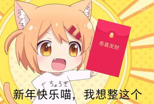  求这个橘猫的原图