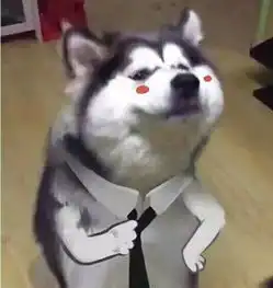  听说看过下面电视剧的95后都