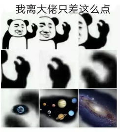  智商145,9岁顶尖大学毕业,别人家的孩子从来不曾令我失望