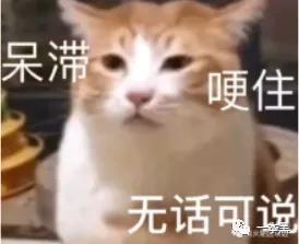  炒币收割韭菜,炒鞋忽悠傻子,这届年轻人不球行....