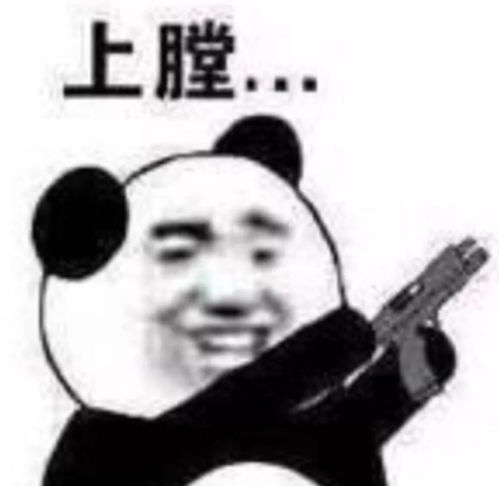 面对疾风吧表情包斗图重