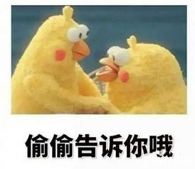  南阳凯璟清华园欢乐西瓜节,带你嗨翻七月