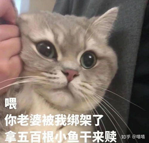 乱码狗头表情包沙雕