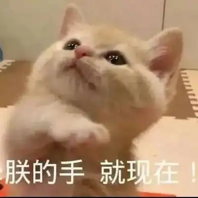 下面的表情包超好看点开图片即可微信头像我要个性网 下面的表情包超好看点开图片即可微信头像我要个性网