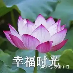 2020年,这些礼物最适合送给长辈 2020年,这些礼物最适合送给长辈