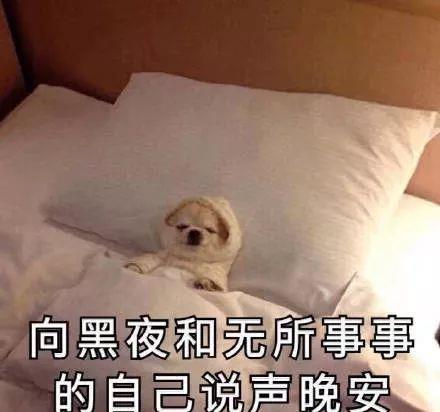 刘亦菲又被骂上热搜太惨了