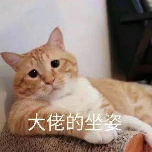 细数一下最近发生的一些热门有趣的资讯 细数一下最近发生的一些热门有趣的资讯