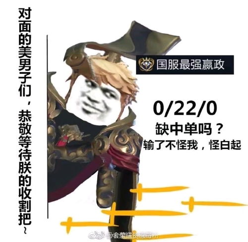  国服最强表情包系列只找到了这些,很多英雄都找不到