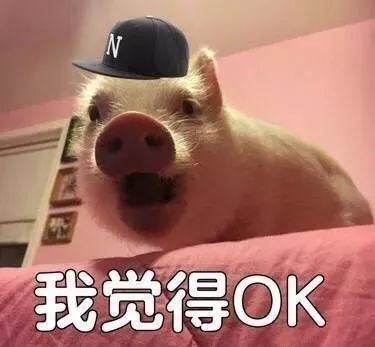  无偿献血献给生命的礼物
