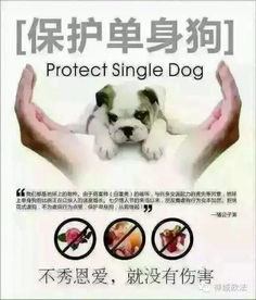  七夕虽过,虐狗不能停政法人是这样秀恩爱的