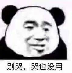  熊猫头表情包i你到底要我说几次