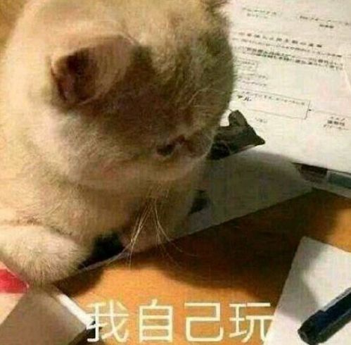  侃琴马丁martin吉他的故事