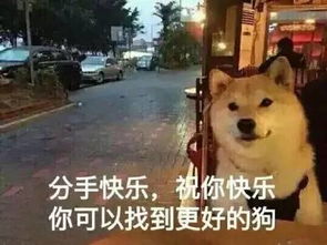  致我们最爱的表情包你永远活在我们的微信里