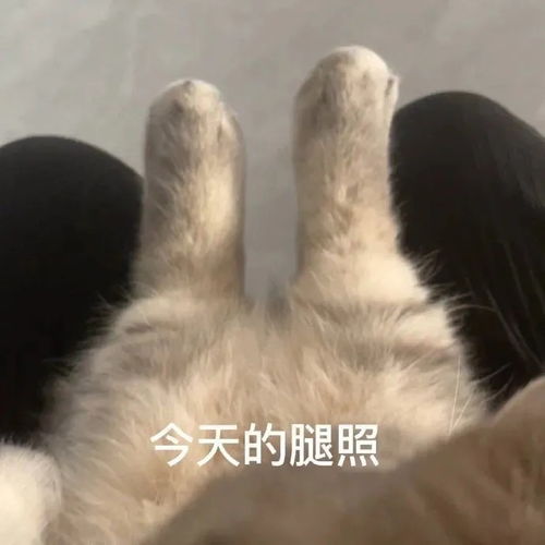 表情包我就是一个很敏感的小男生 表情包我就是一个很敏感的小男生