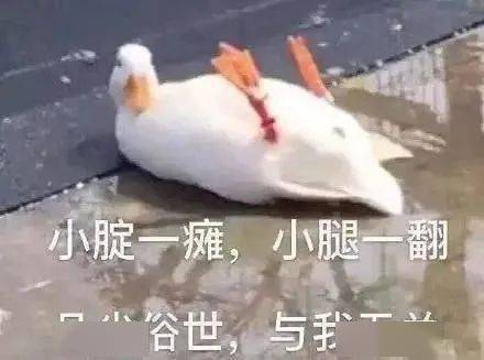  沙雕斗图表情包有本事你打我嘛