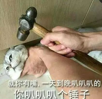  潍胶路将升级为国道跨奎文坊子峡山昌邑高密...