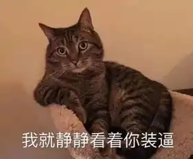 日常吸猫表情包合集第二弹,再来吸啊 日常吸猫表情包合集第二弹,再来吸啊