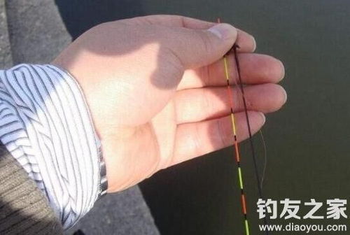  钓鱼新手必看的几个调漂技巧和细节