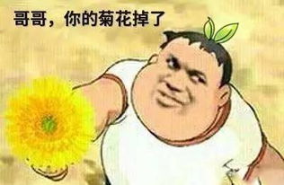  家都没了还打野,你在给你妈采灵芝吗