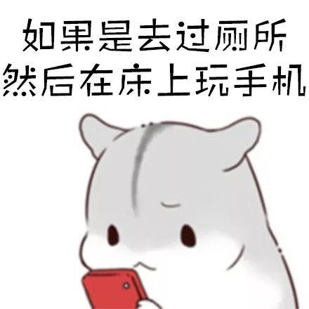  睡觉前必须上个厕所是你吗