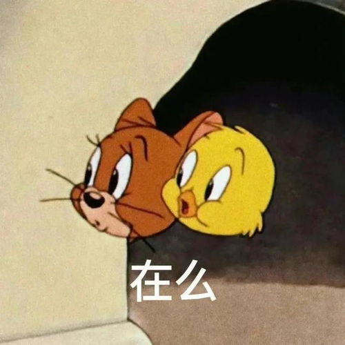  猫和老鼠表情包