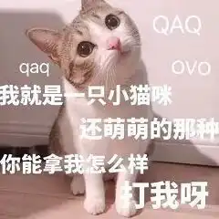 老妈表情包小猫咪