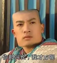  芳和爵迹国产动画良心配音阵容